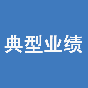 典型業(yè)績